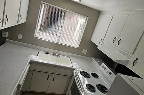 bd72327a2f44ff636997cddcce33c336-cc_ft_384